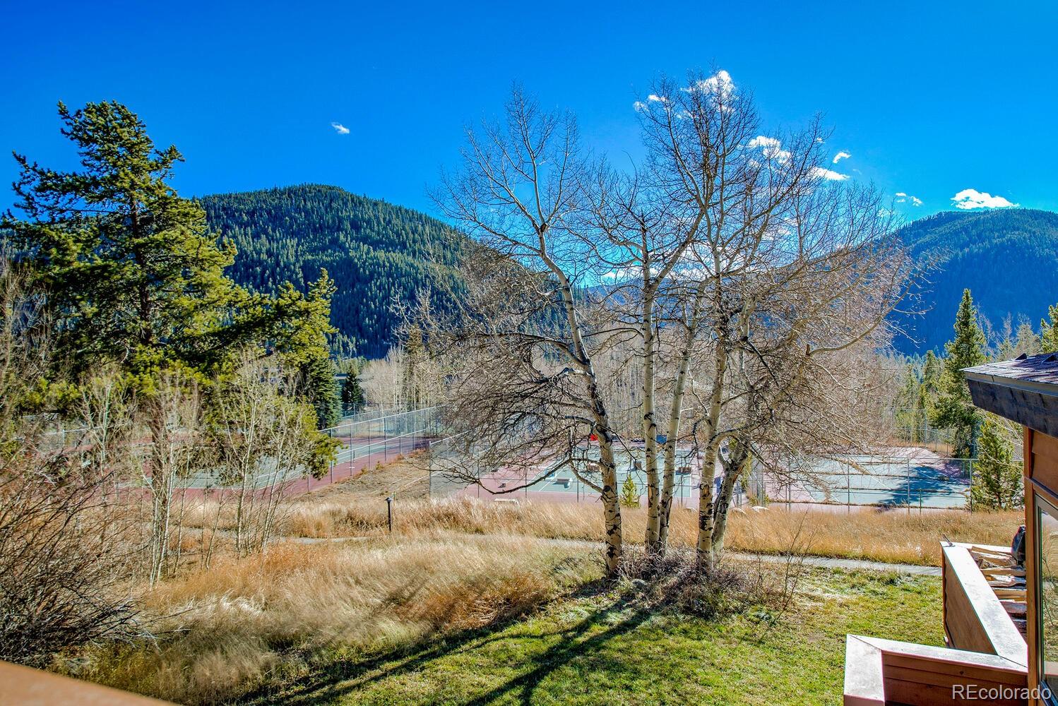 320 Tennis Club Rd #1307, Dillon, CO 80435