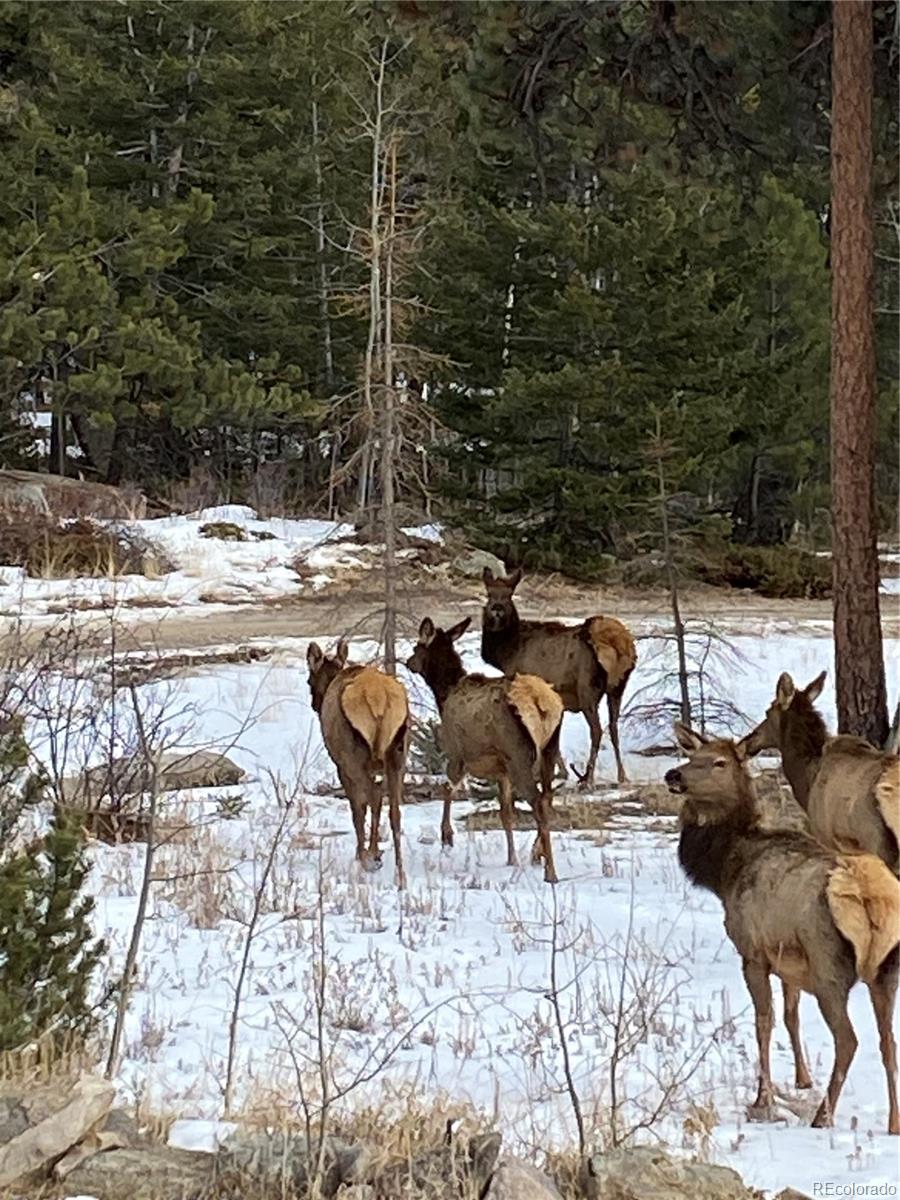 198 Frontier Ln, Nederland, CO 80466