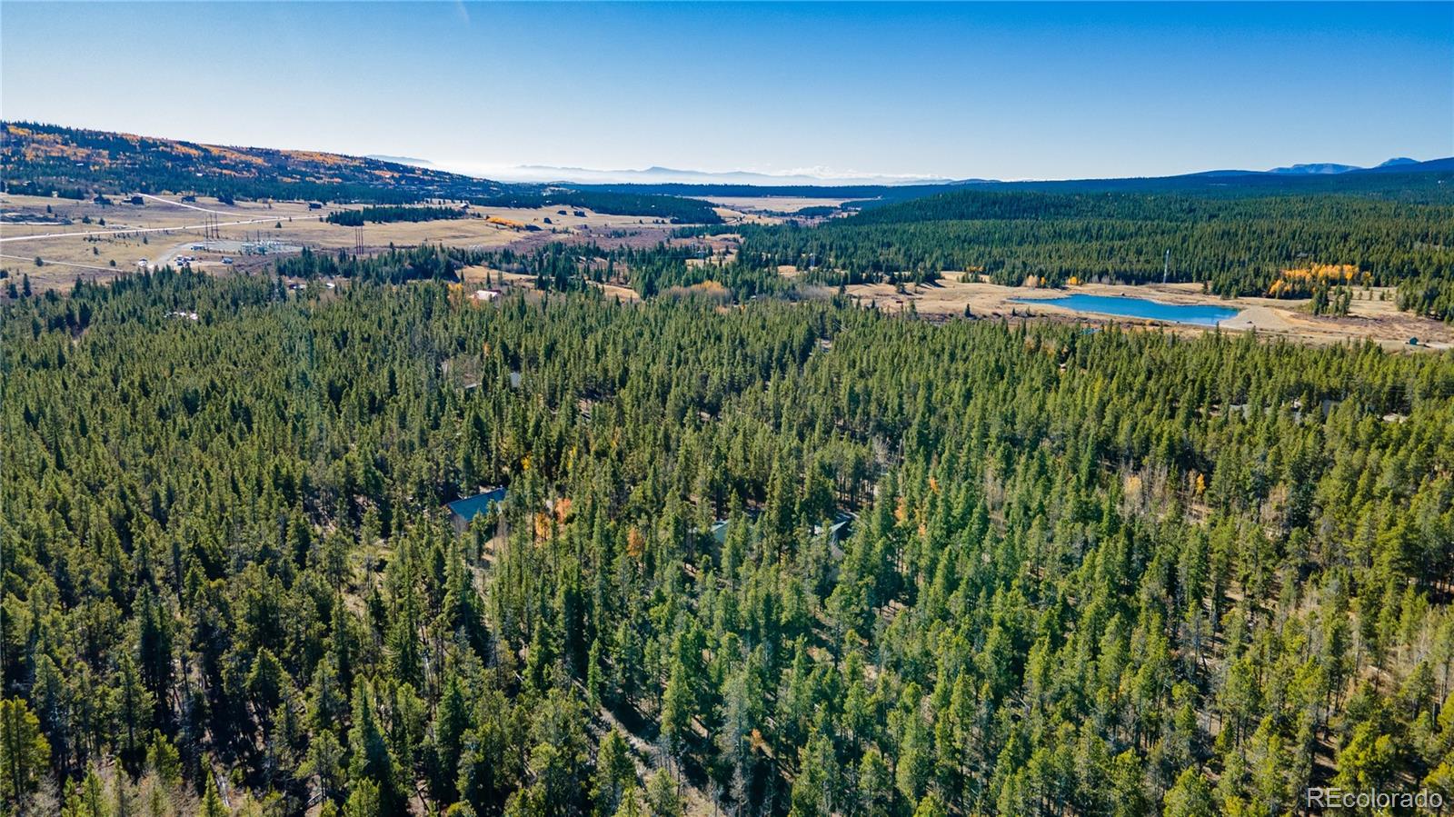 235 Willow Ln, Fairplay, CO 80440