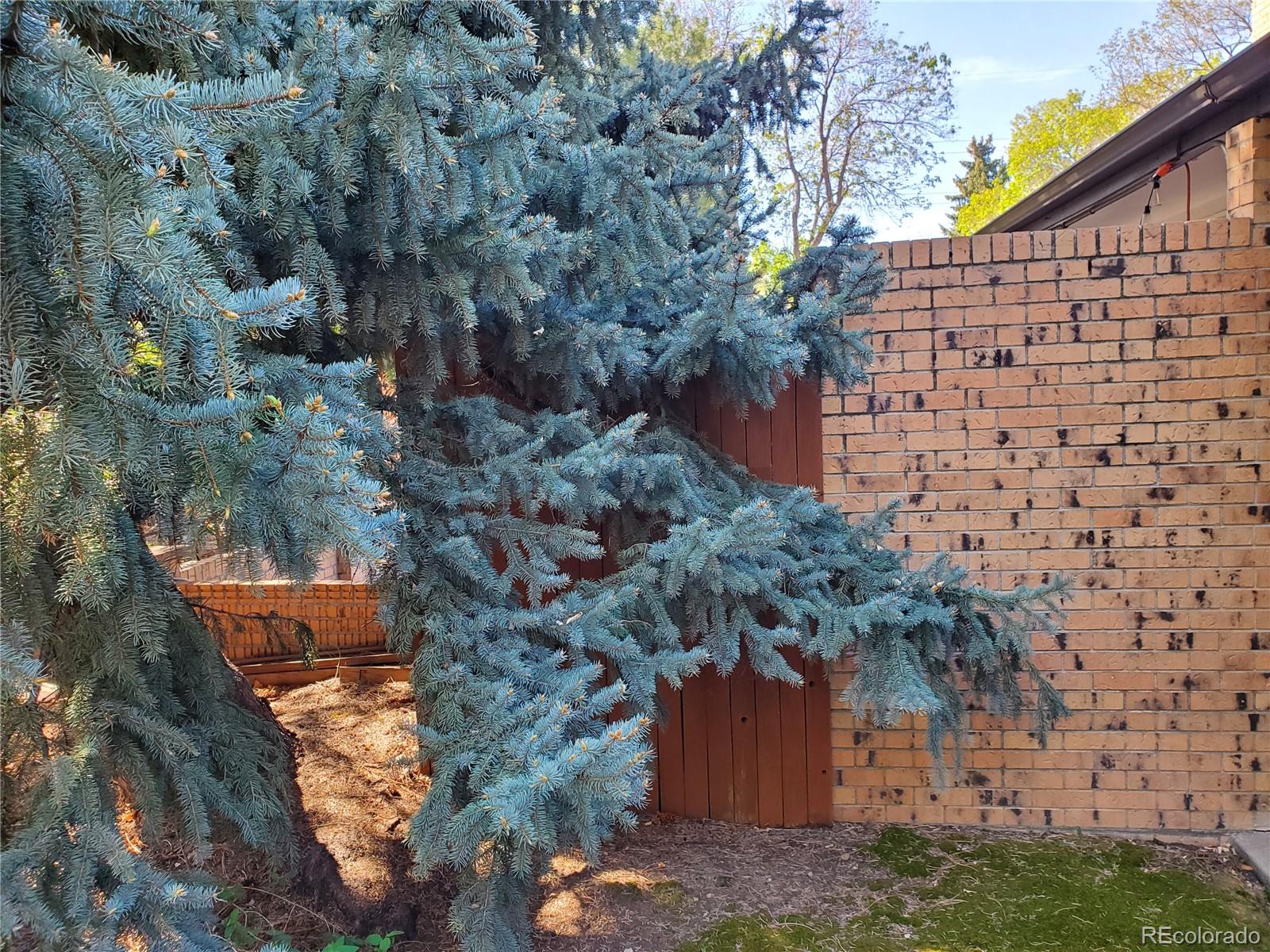 8542 W 10th Ave, Lakewood, CO 80215