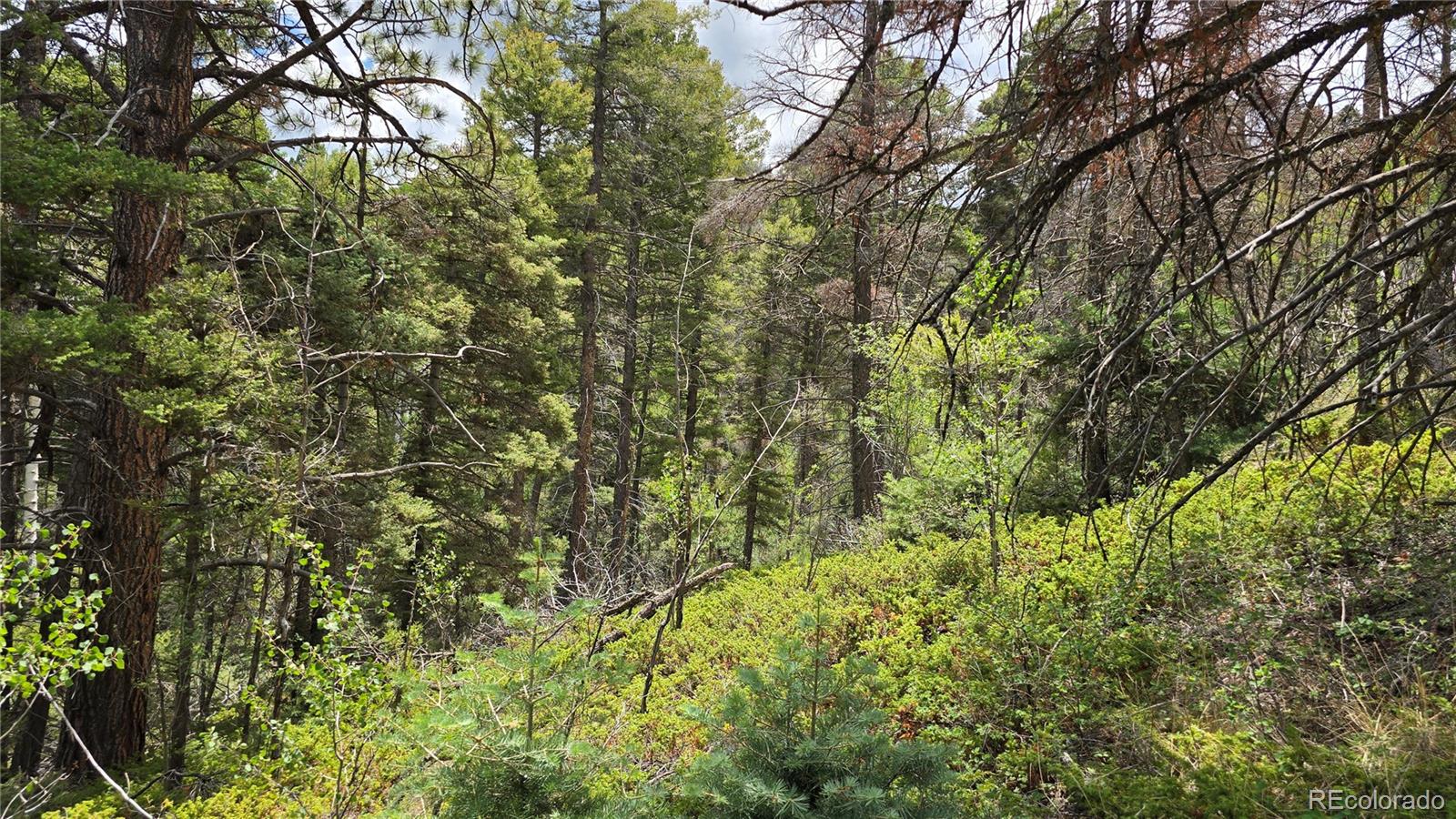 Lot 5540 Joy Rd, Fort Garland, CO 81133