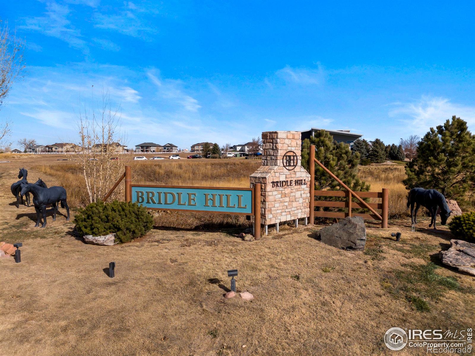 2549 Branding Iron Dr, Severance, CO 80524