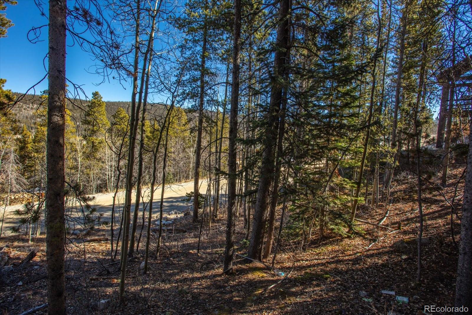 421 N Aspen St Lot 6, Alma, CO 80420