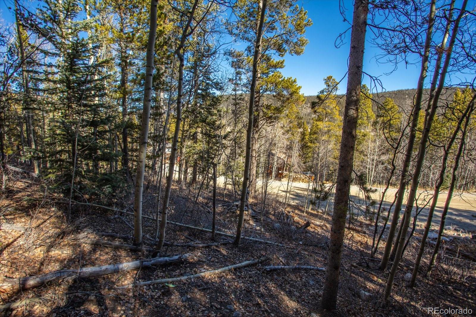 431 N Aspen St Lot 5, Alma, CO 80420