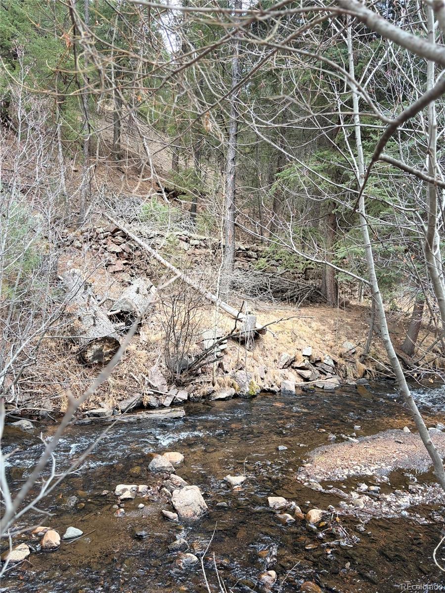 00000 S Elk Creek Rd, Pine, CO 80470