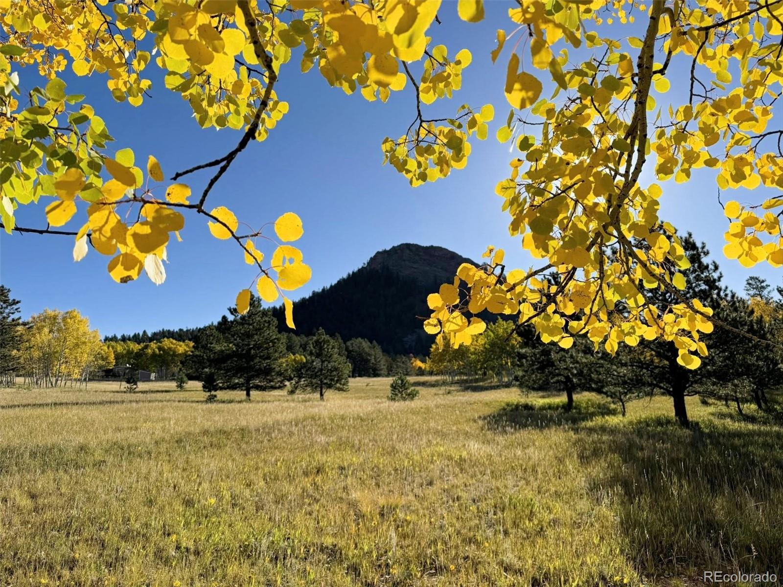 1965 Vagabond Creek Dr Lot 9, Lake George, CO 80827