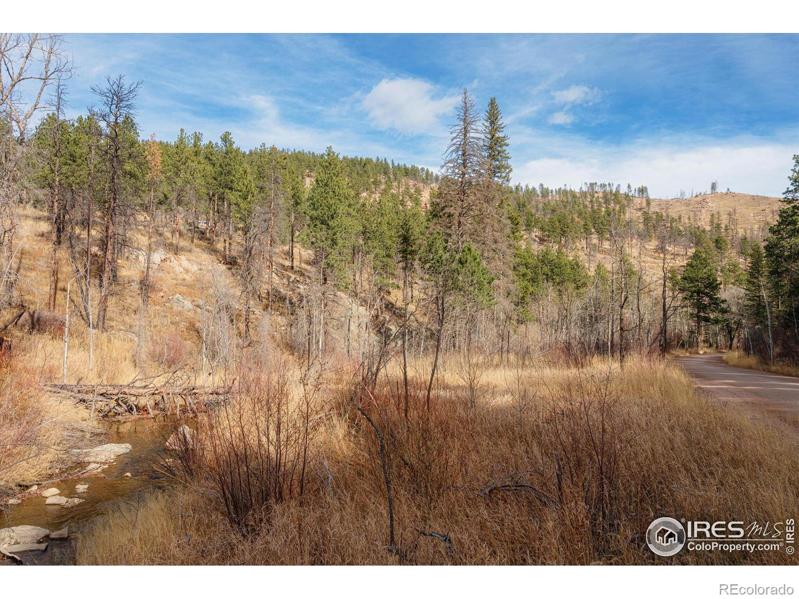 0 Cougar Cir Ct, Bellvue, CO 80512