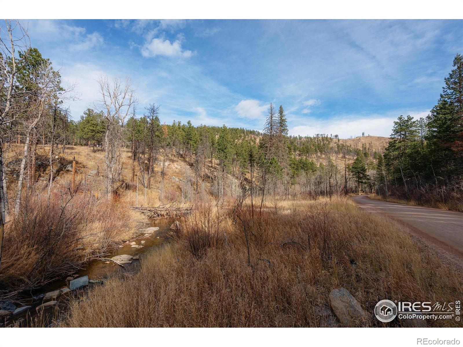 0 Cougar Cir Ct, Bellvue, CO 80512