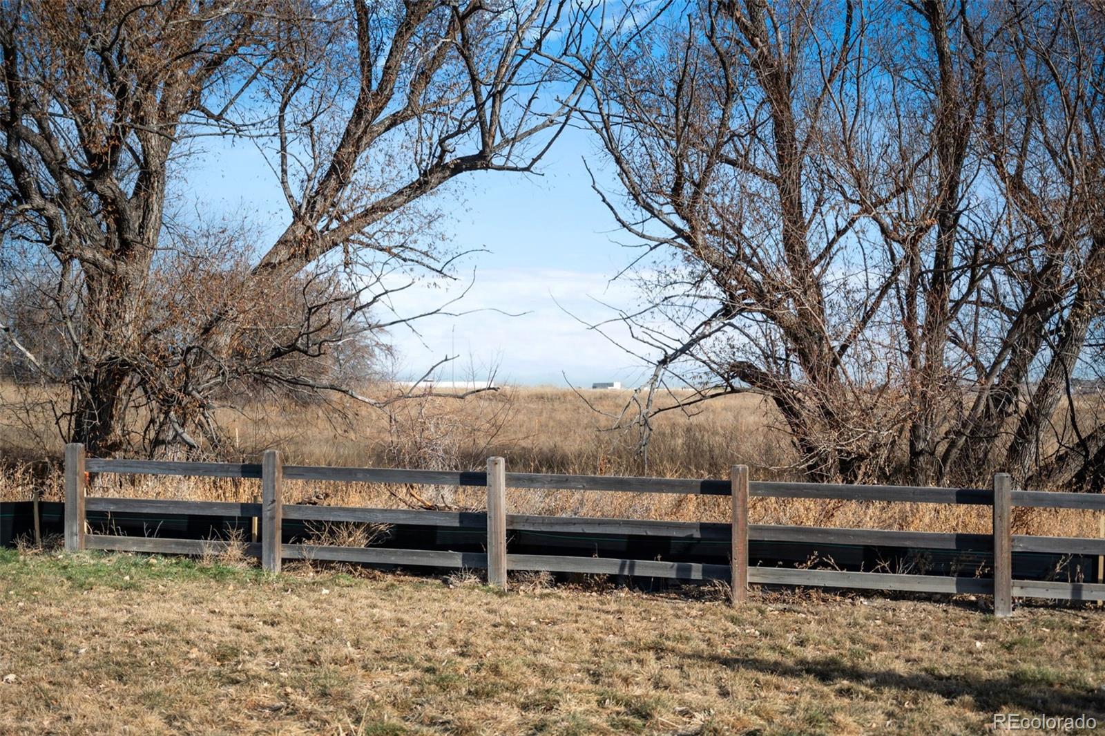 12380 Irma Dr, Thornton, CO 80241