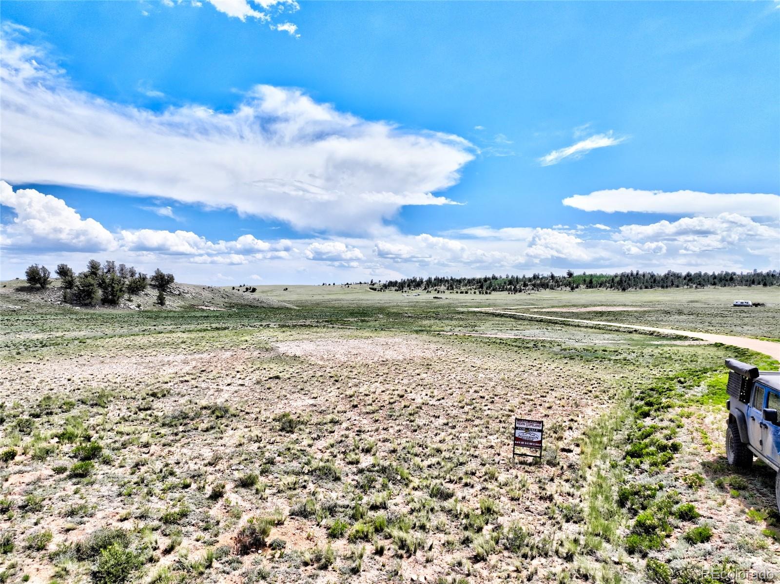 656 Ute Tc, Lake George, CO 80827
