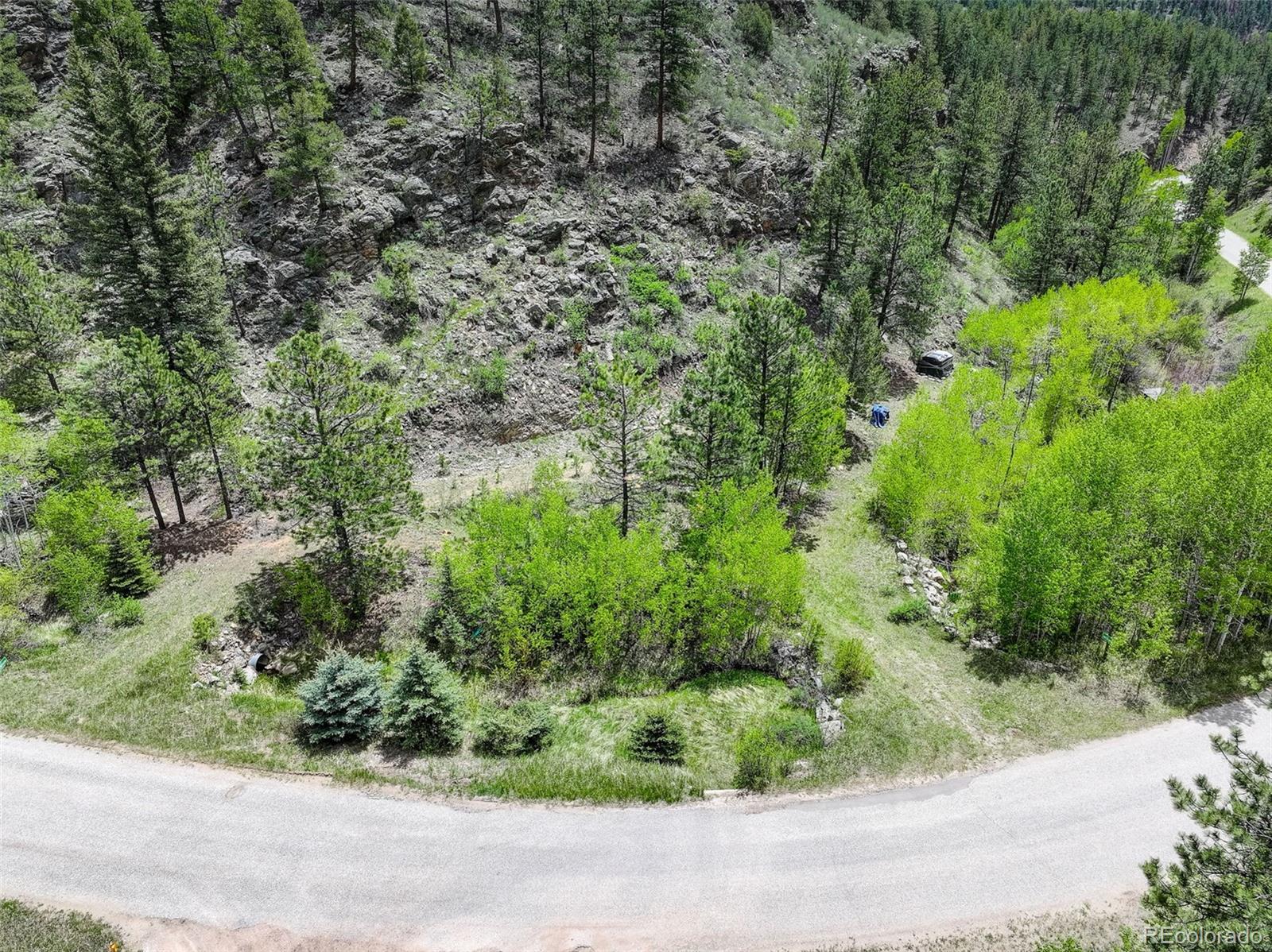 400 Crow Valley Rd, Bailey, CO 80421