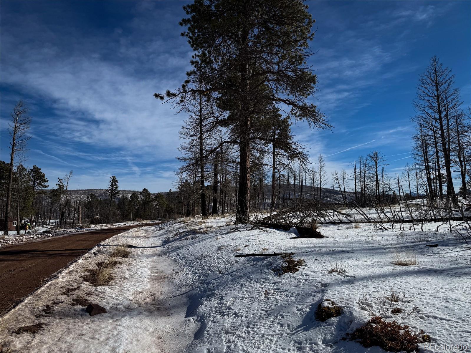 LOT 591 Leslie Loop, Fort Garland, CO 81133