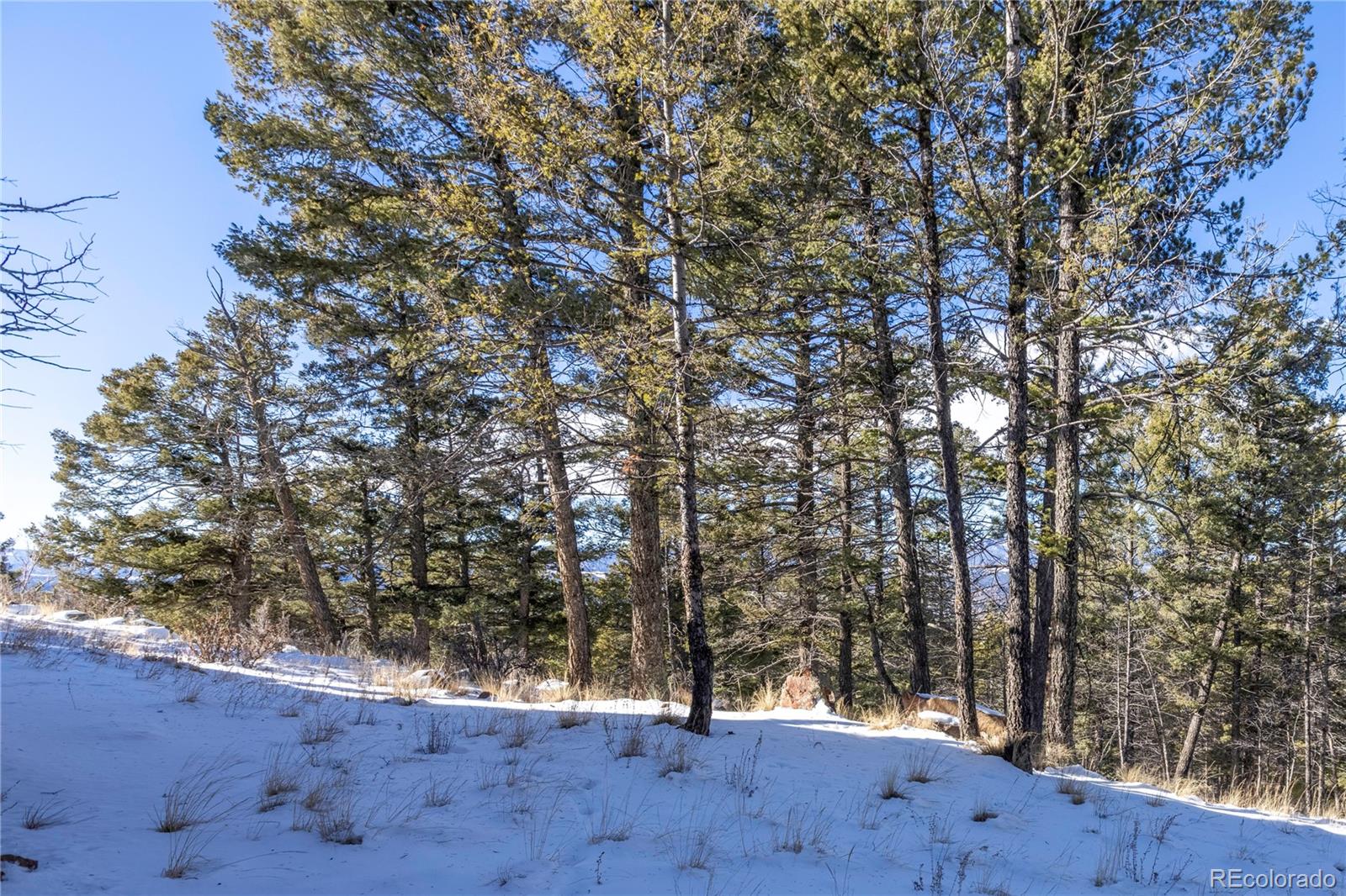 730 Cheyenne Creek, Lake George, CO 80827