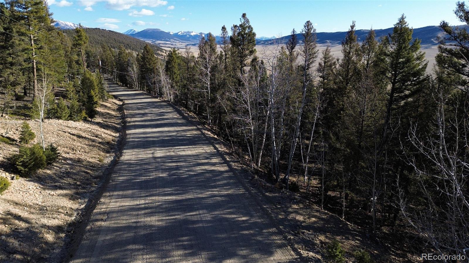 3132 Middle Fork Vi, Fairplay, CO 80440