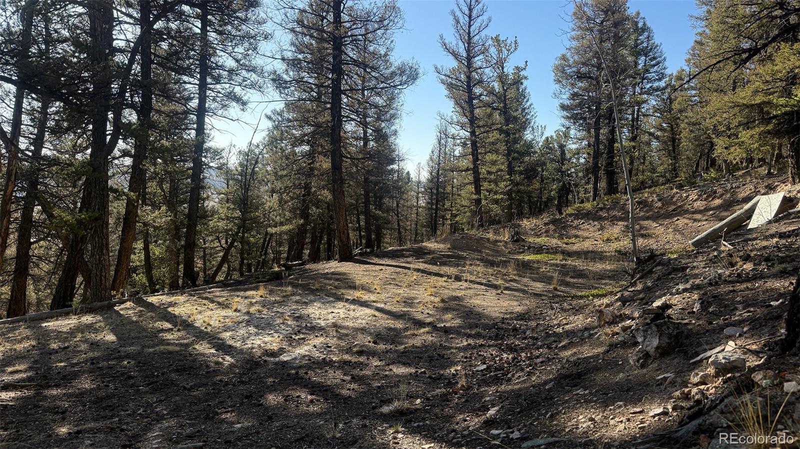3132 Middle Fork Vi, Fairplay, CO 80440
