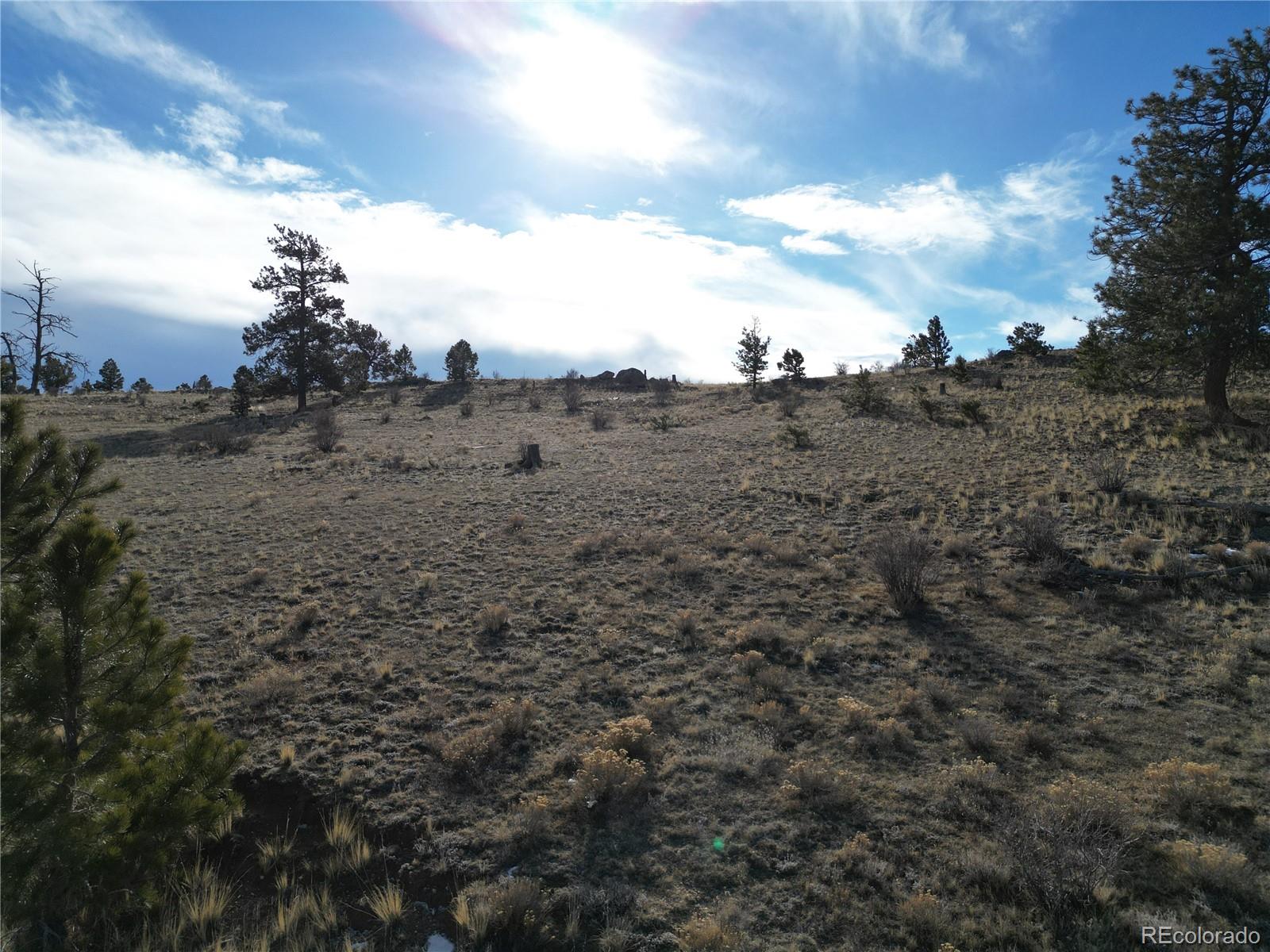 10620 Routt Rd, Lake George, CO 80449
