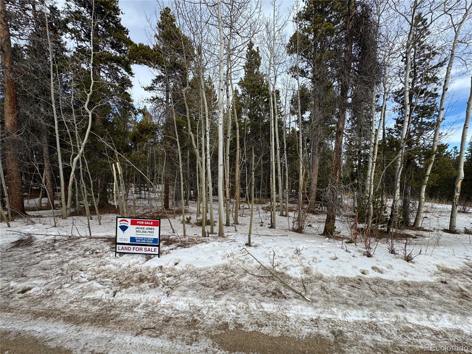 121 Aurora Rd, Black Hawk, CO 80422