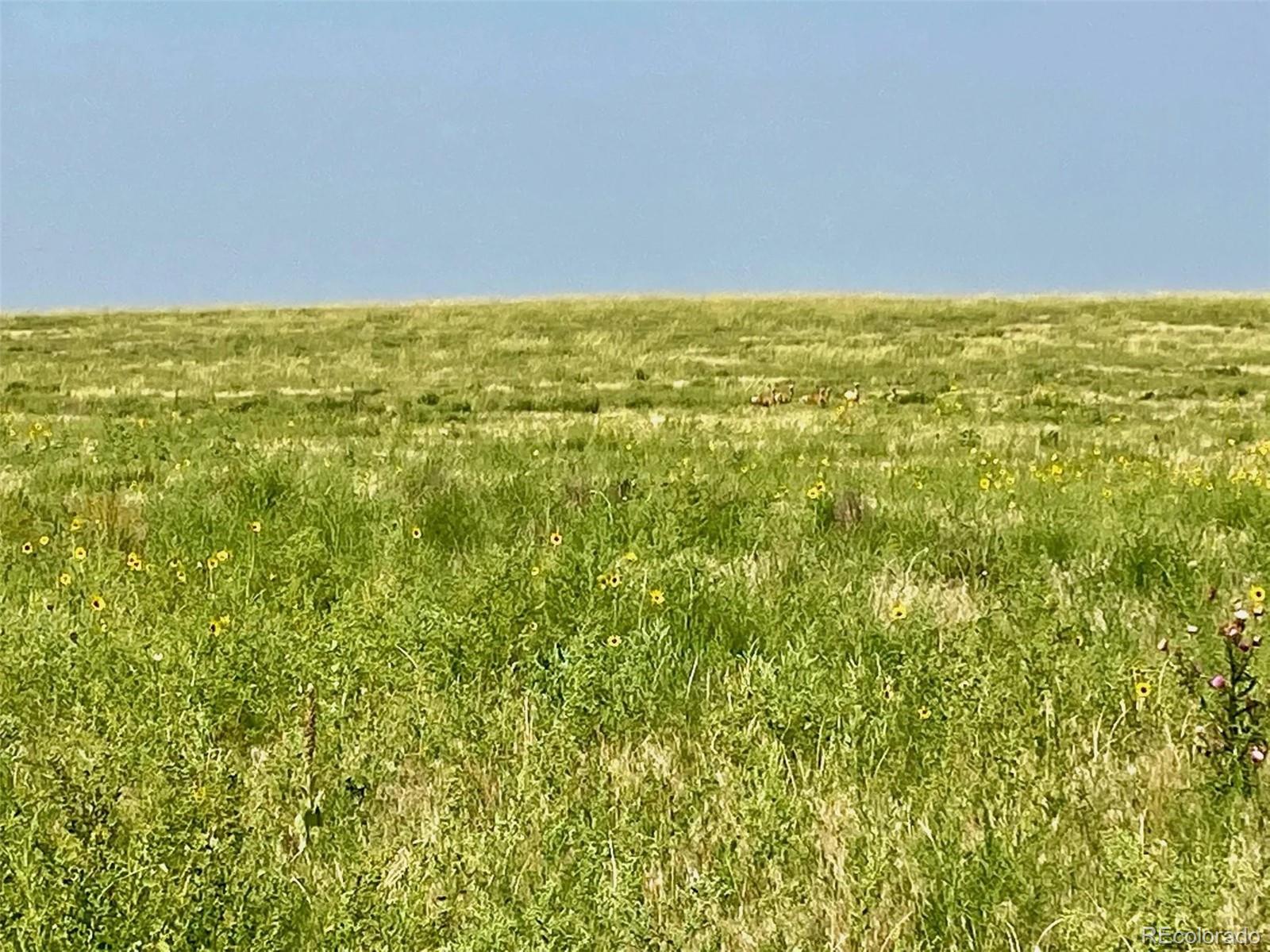 County Road Hh, Burlington, CO 80861
