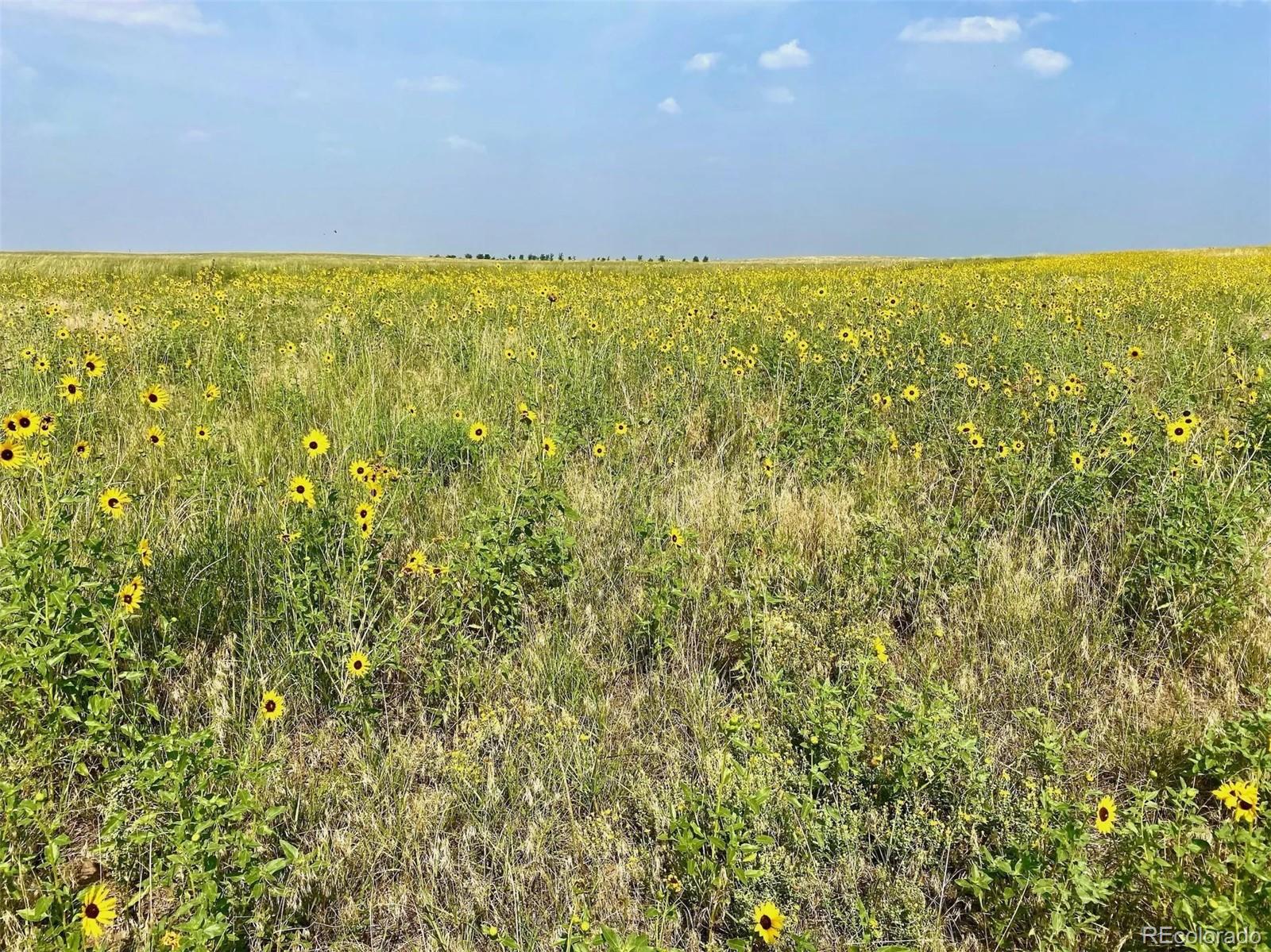 County Road Hh, Burlington, CO 80861