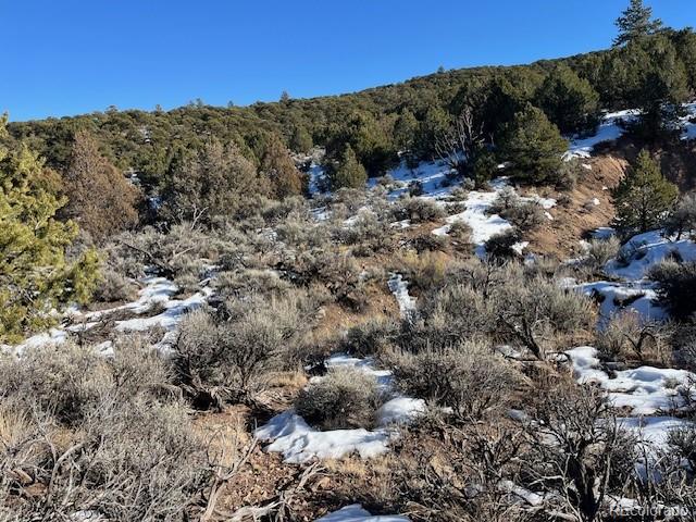 Lot 7860 Platten Rd, Fort Garland, CO 81133
