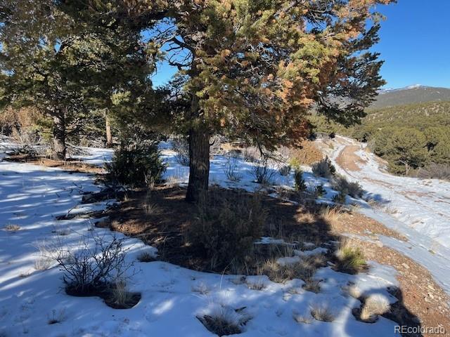 Lot 7898 Tiernan Rd, Fort Garland, CO 81133