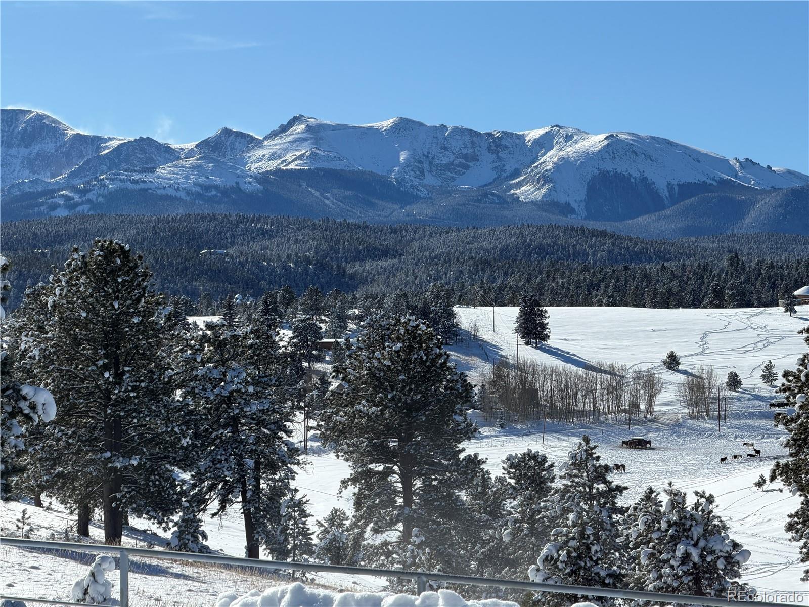 231 S Forty Rd, Woodland Park, CO 80863