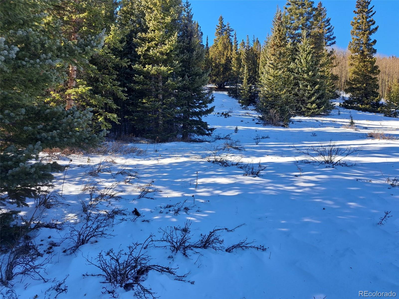 3553 River Dr, Alma, CO 80420