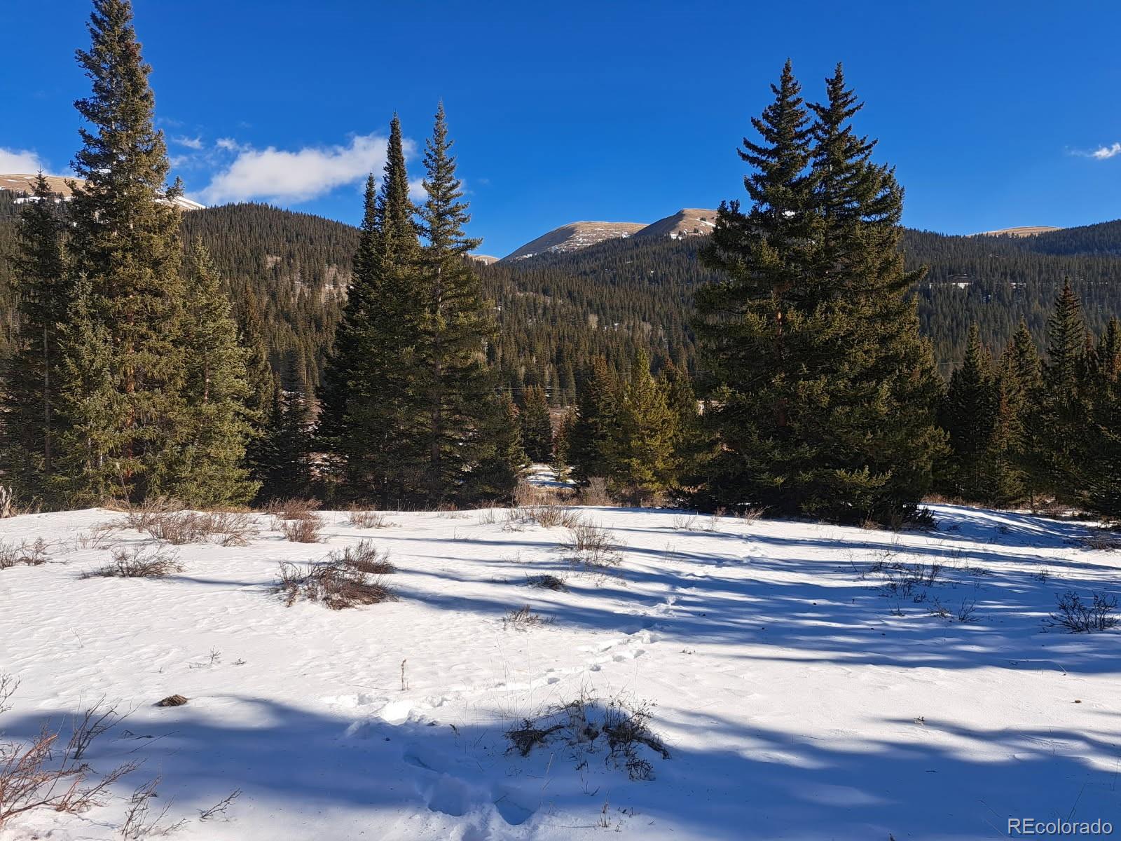 3553 River Dr, Alma, CO 80420