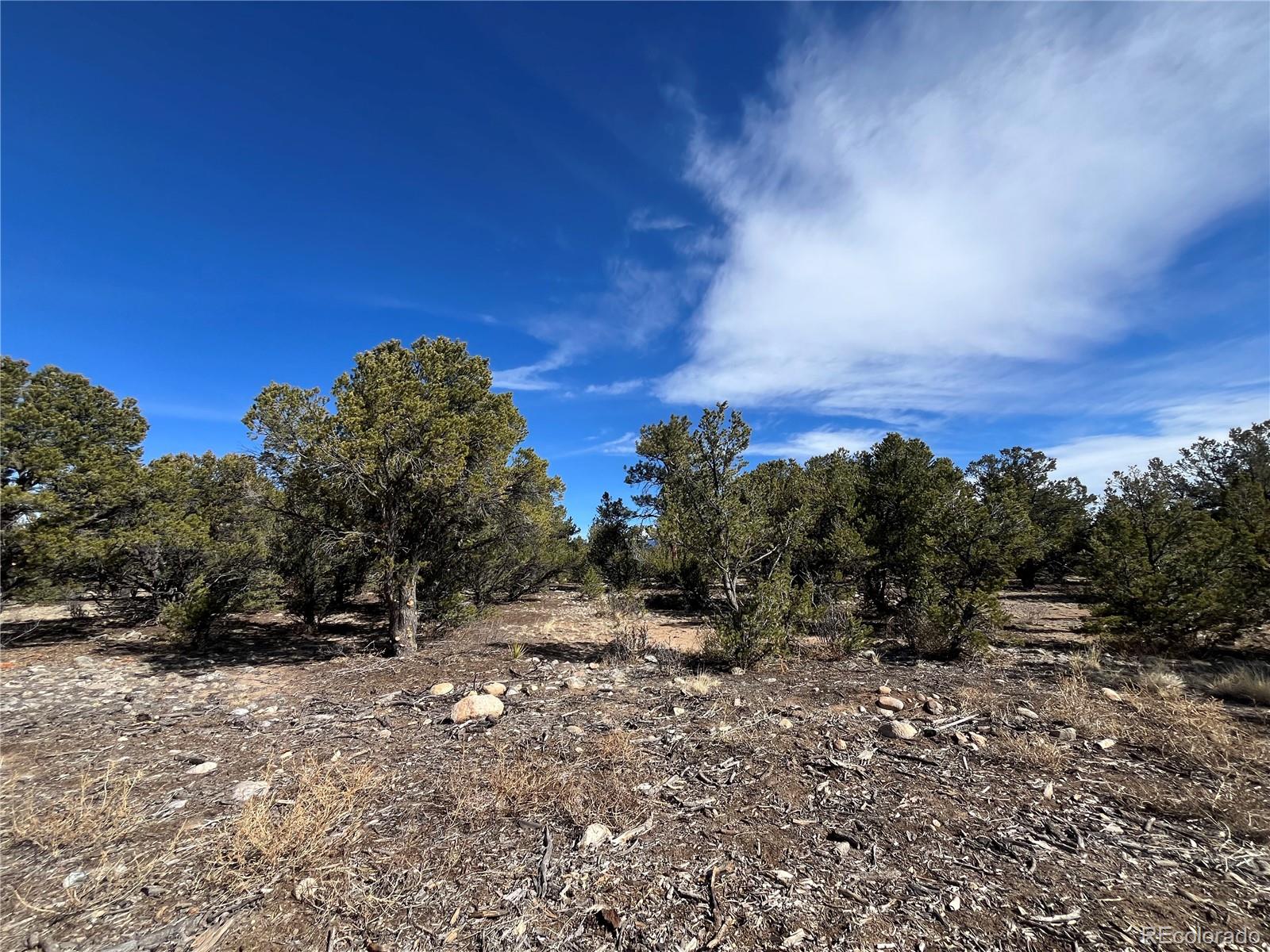 29274 Lakota Ln Lot 3, Buena Vista, CO 81211