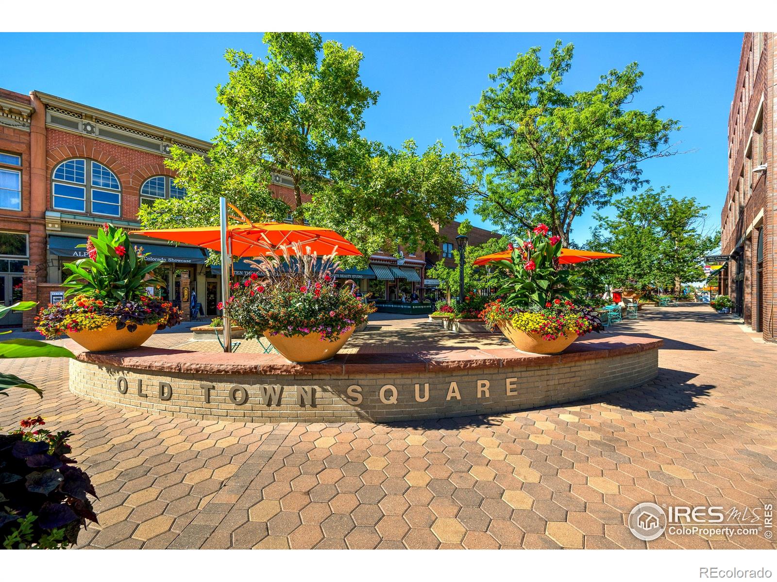 1180 Gregory Cove Dr, Fort Collins, CO 80524