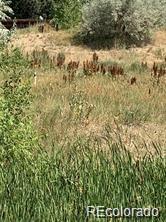 8348 S Carr Way Lot 26, Littleton, CO 80128
