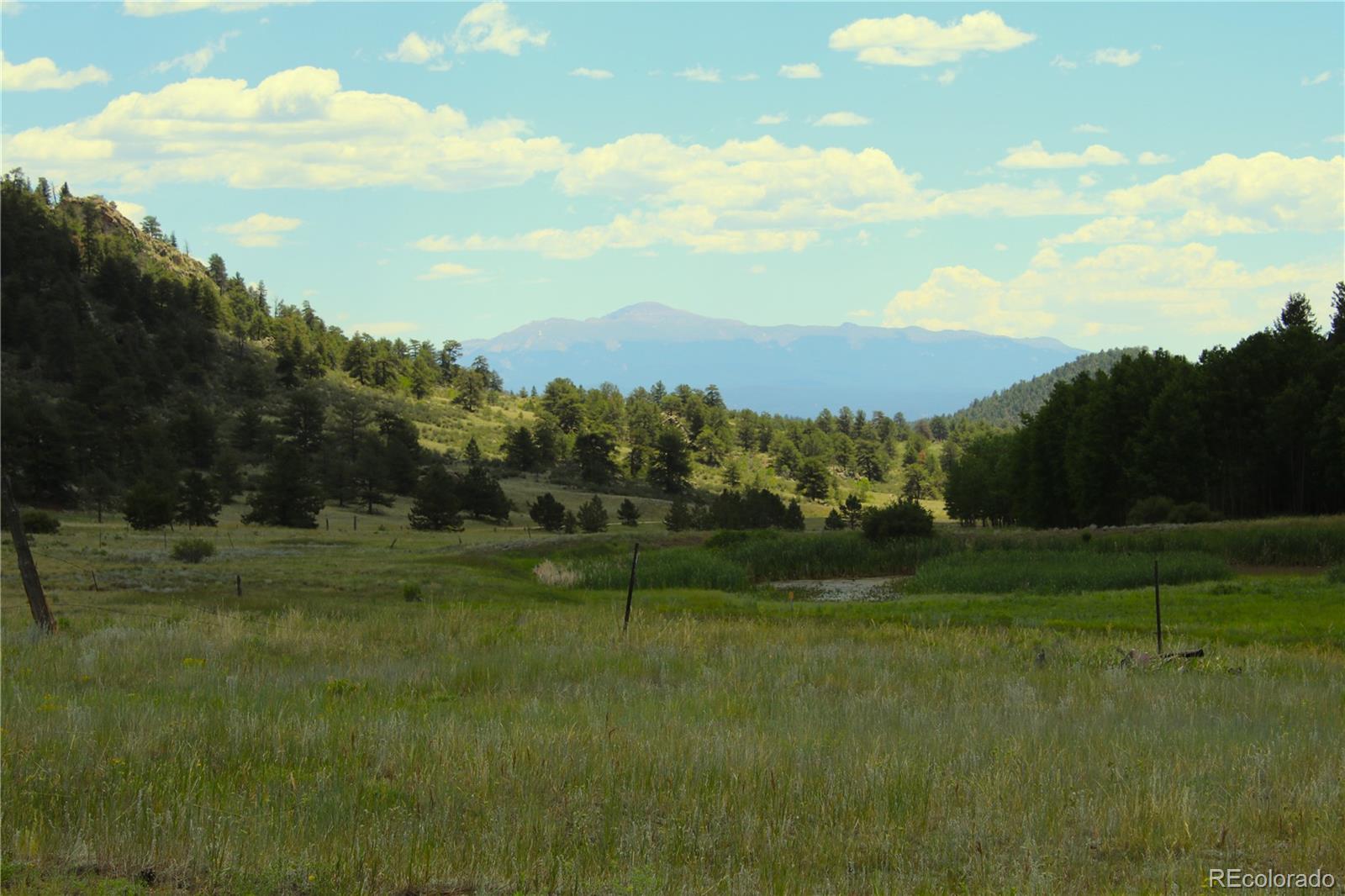 340 Cr90, Lake George, CO 80827