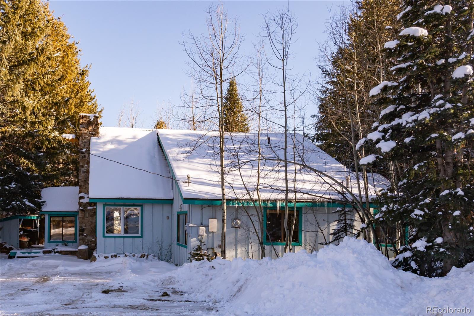 294 Vasquez Rd, Winter Park, CO 80482