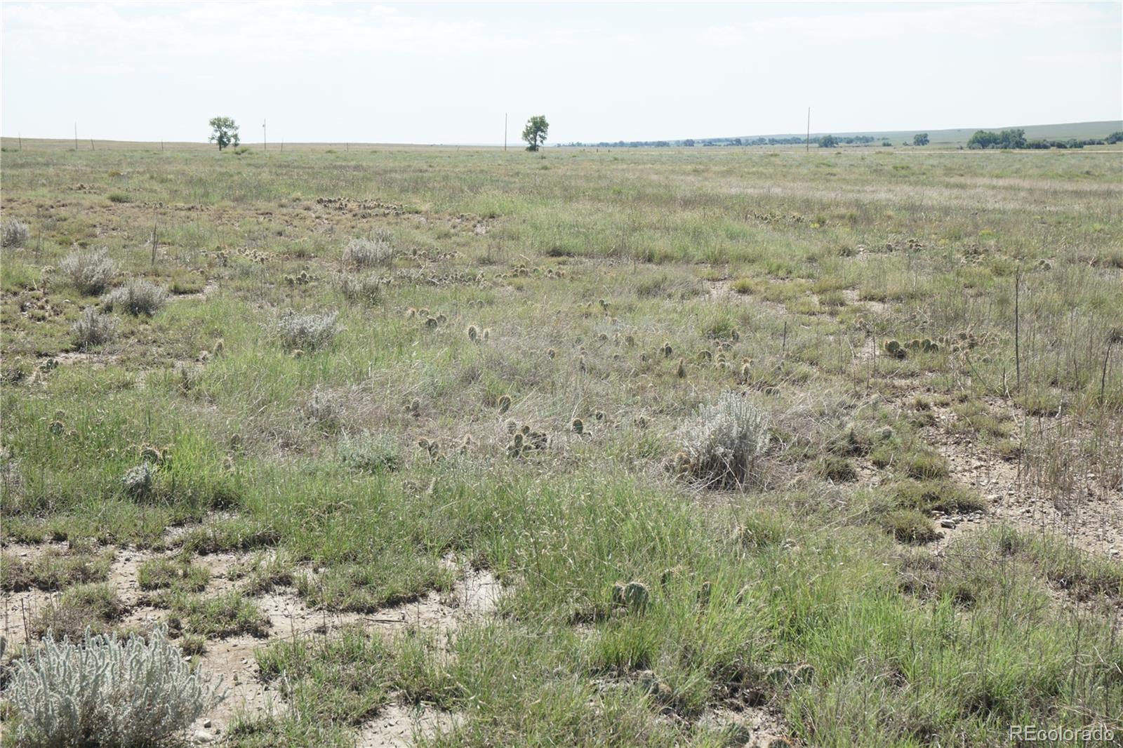 12580 County Road Z 5, Rush, CO 80833