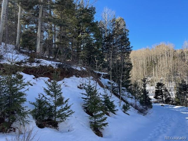Lot 5252 Scott Rd, Fort Garland, CO 81133