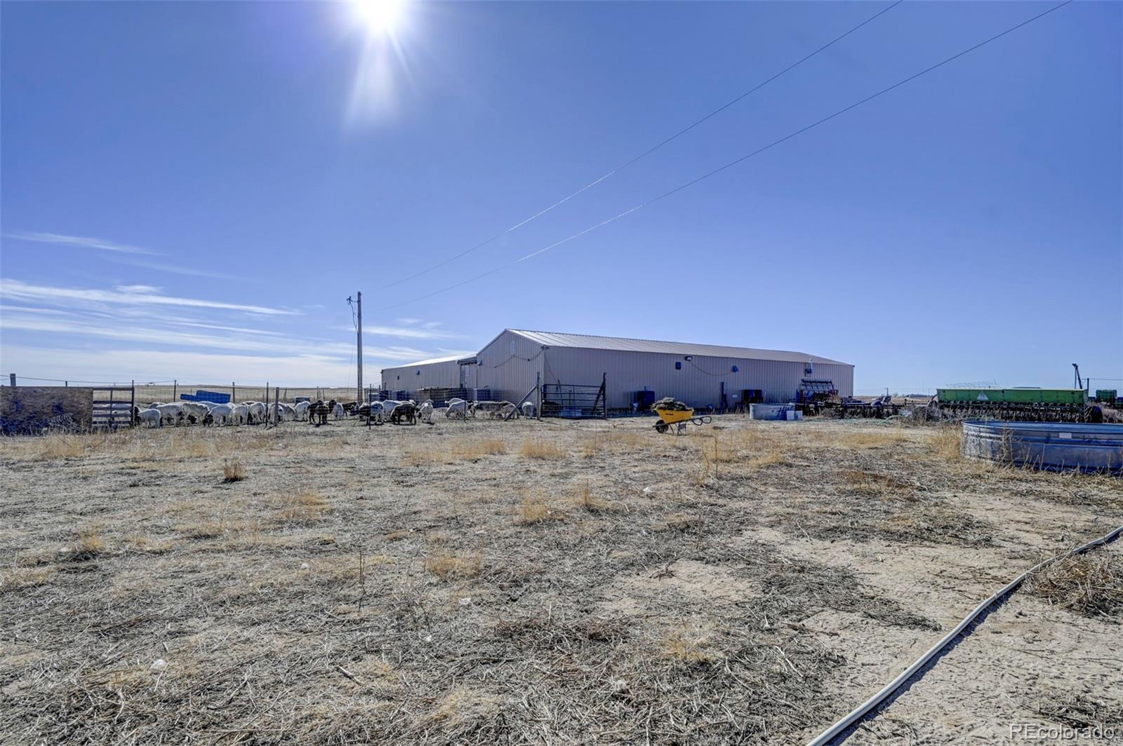 7455 S Rush Rd, Rush, CO 80833