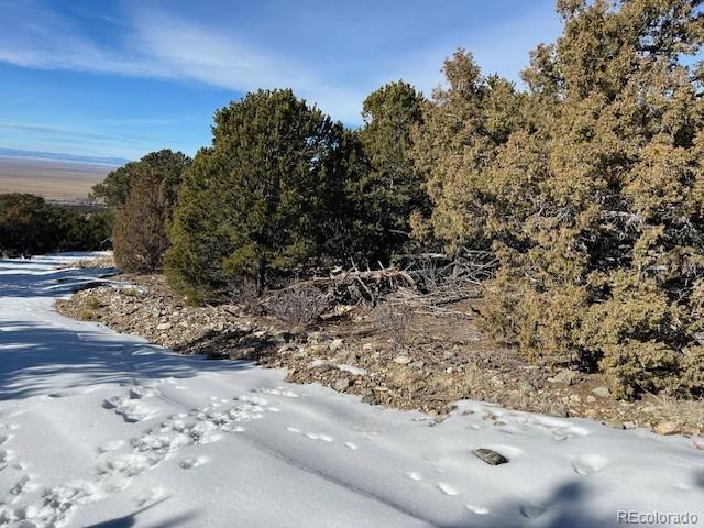 209 Blanca Pl, Mosca, CO 81146