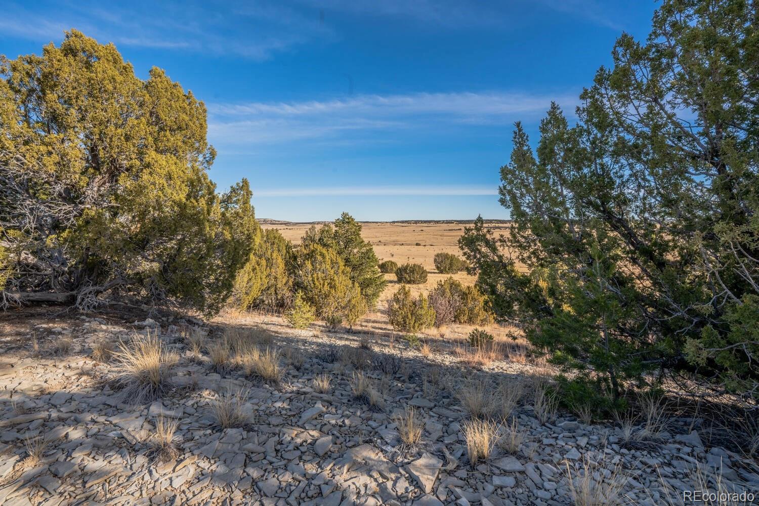 24 Hatchet Ranch, Colorado City, CO 81019