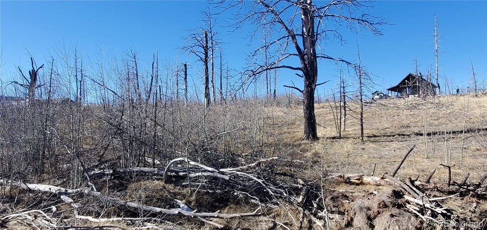 Lot 1566 Cary Ln Lot 1566, Fort Garland, CO 81133