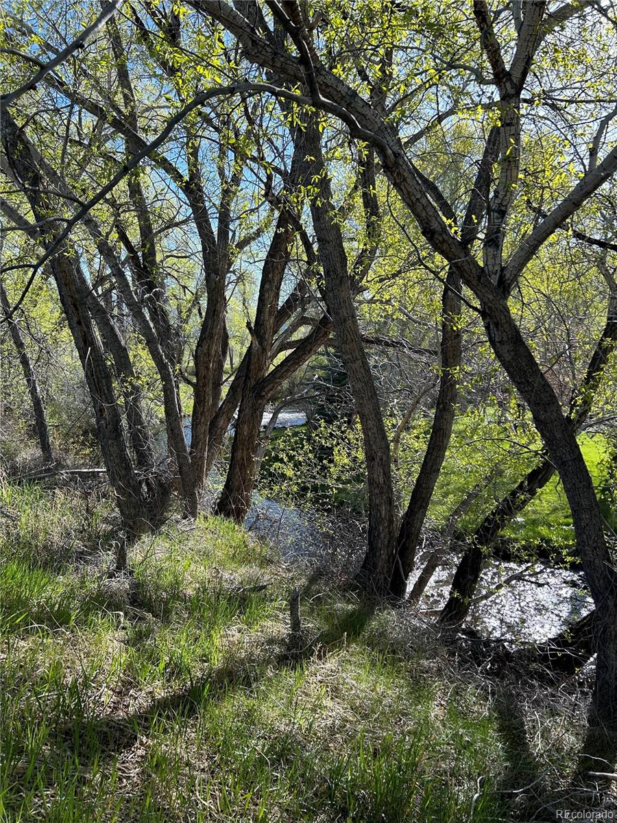 Cr 361, Buena Vista, CO 81211