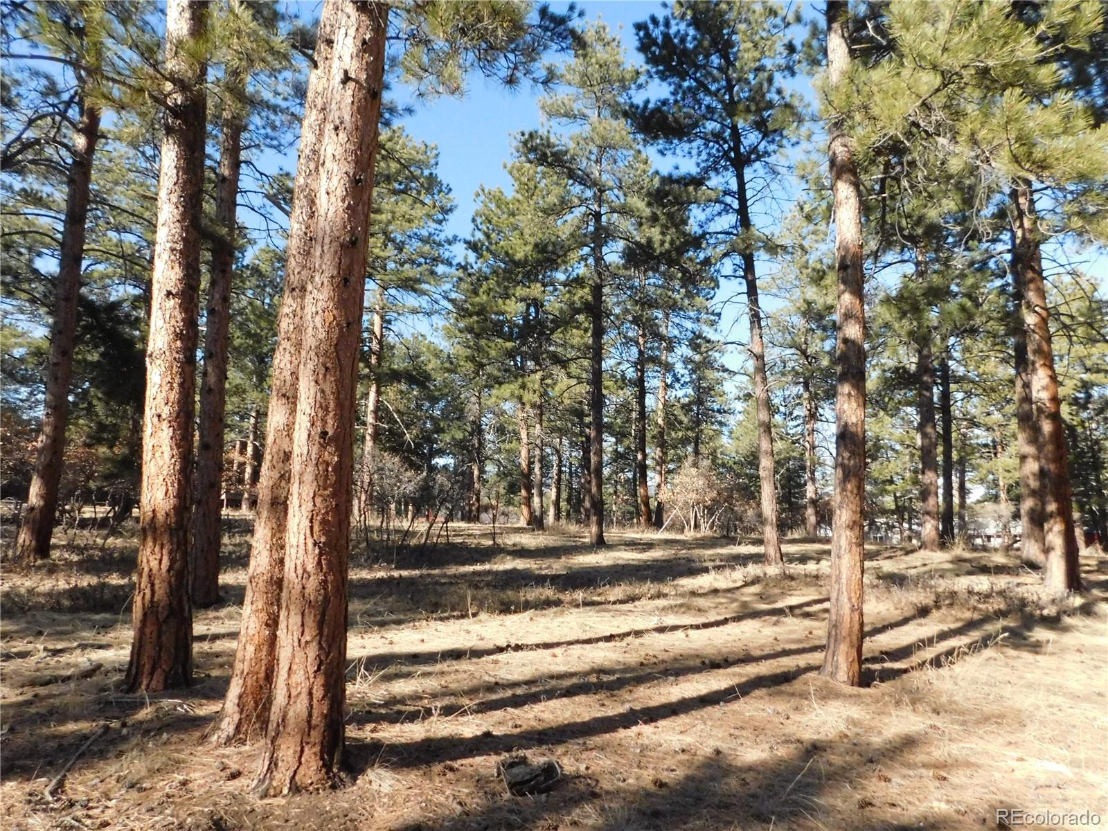5845 S Pike Dr, Larkspur, CO 80118