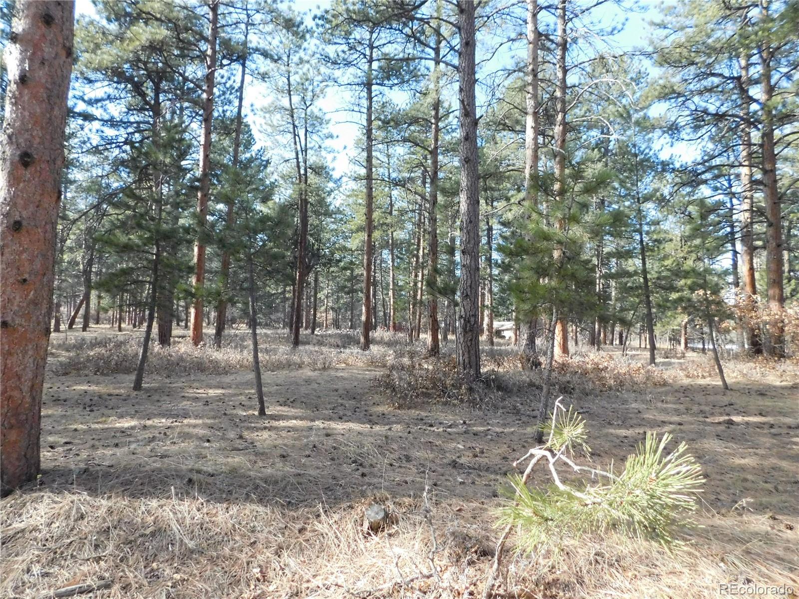 5845 S Pike Dr, Larkspur, CO 80118