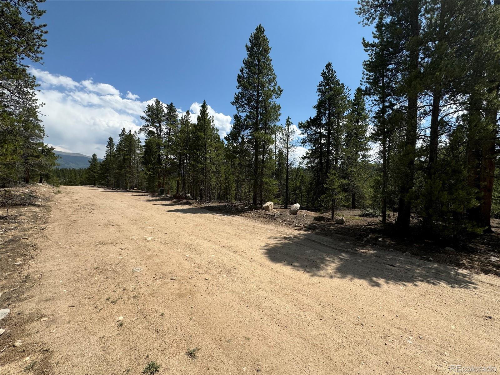 218 Aspen Dr, Leadville, CO 80461
