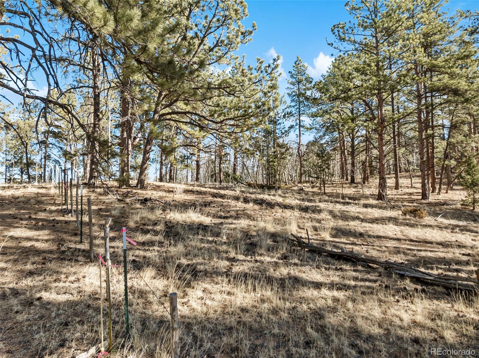Lot 20 Echo Lake Dr, Florissant, CO 80827
