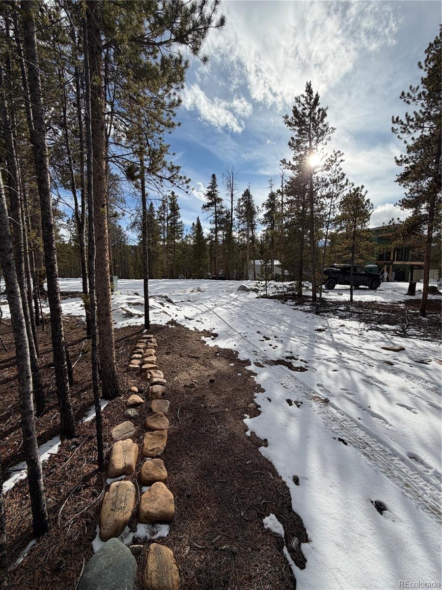 379 Peak View Dr, Leadville, CO 80461