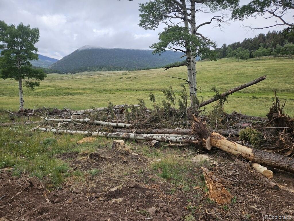 Lot 2841 Wendt Ln Lot 2841, Fort Garland, CO 81133