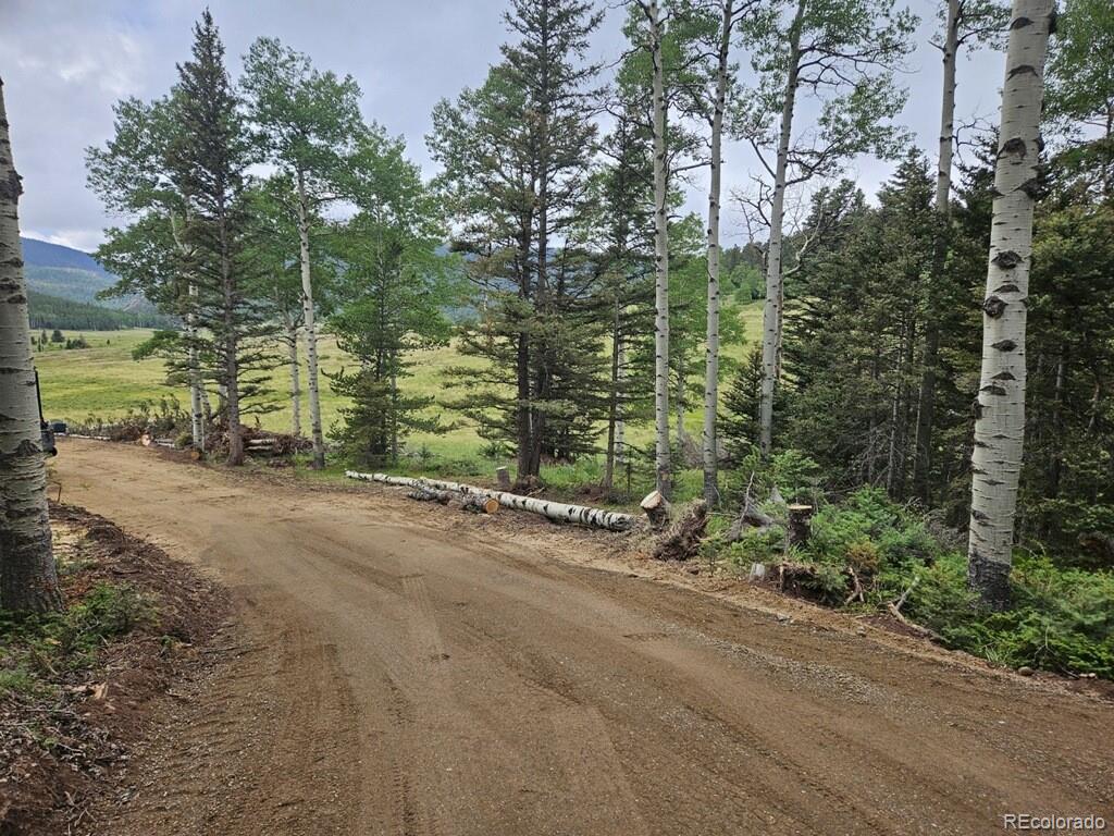 Lot 2841 Wendt Ln Lot 2841, Fort Garland, CO 81133