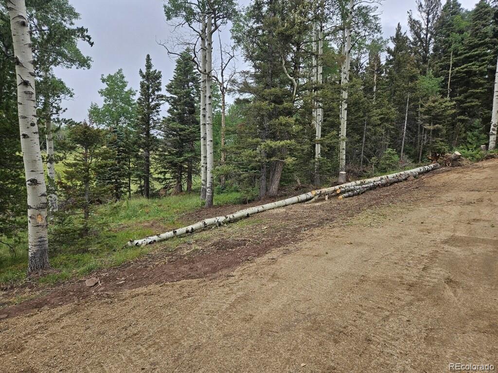 Lot 2841 Wendt Ln Lot 2841, Fort Garland, CO 81133