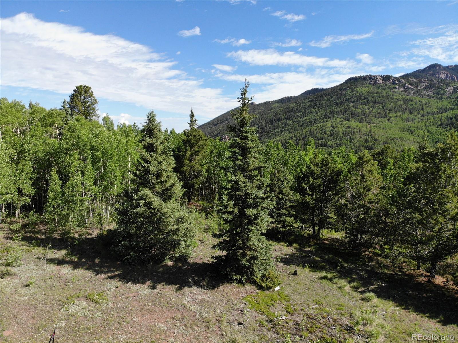 12775 S State Highway 67, Cripple Creek, CO 80813