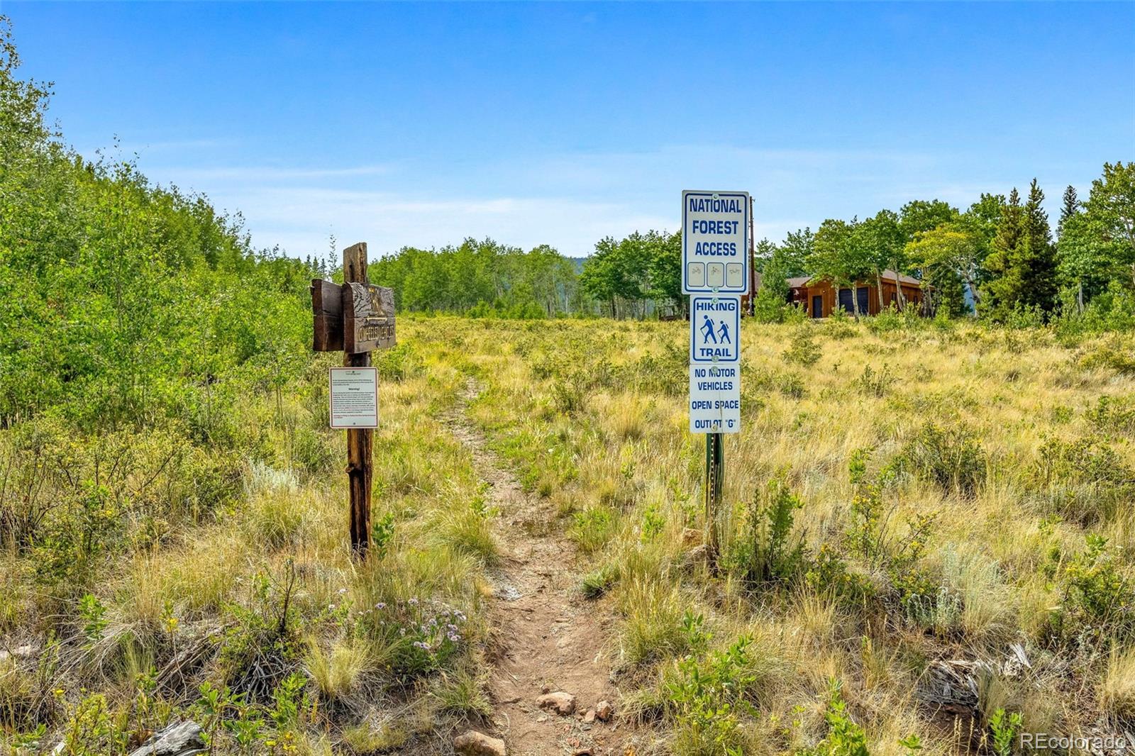 155 Lamb Mountain Rd, Fairplay, CO 80440
